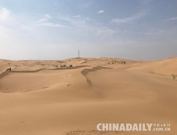 沙漠变绿洲：亿利探索生态致富之路