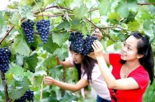 咱河北藏着33个风情小镇，人少景美还免费
